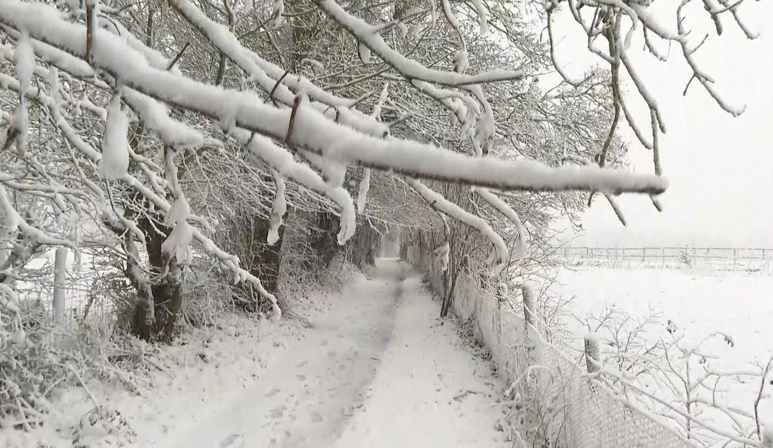 خبراء الطقس: المملكة المتحدة ستشهد تساقطاً كثيفاً للثلوج قد يستمر حتى الأسبوع المقبل