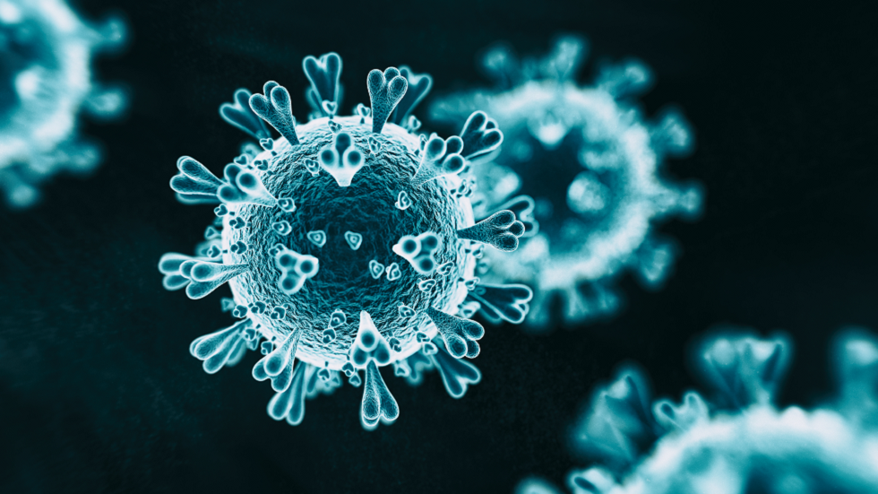 وزير اللقاحات البريطاني: هناك 4000 نوع من فيروس كورونا في جميع أنحاء العالم