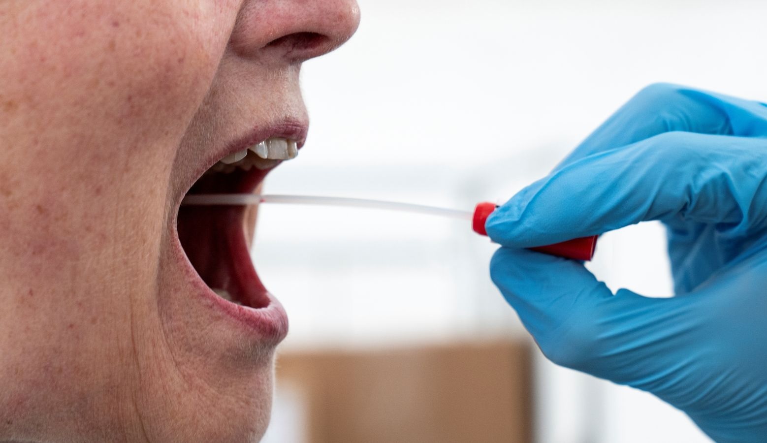 دراسة: الأشخاص دون سن الـ 65 محميون من الإصابة بكورونا مرة أخرى لمدة 6 أشهر