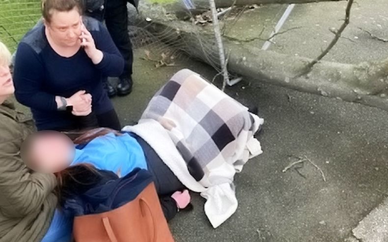 نقل مراهقة إلى المستشفى بعد سقوط شجرة عليها بفعل الرياح القوية في لندن