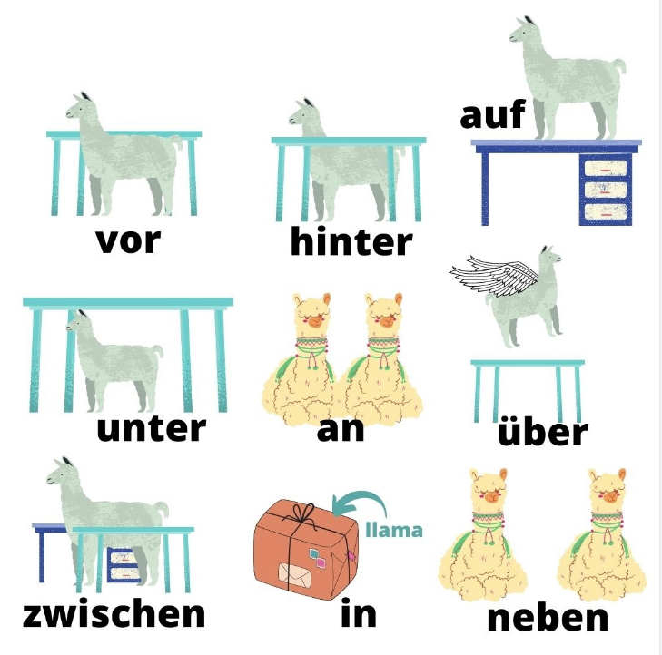 حروف الجر في الالمانية