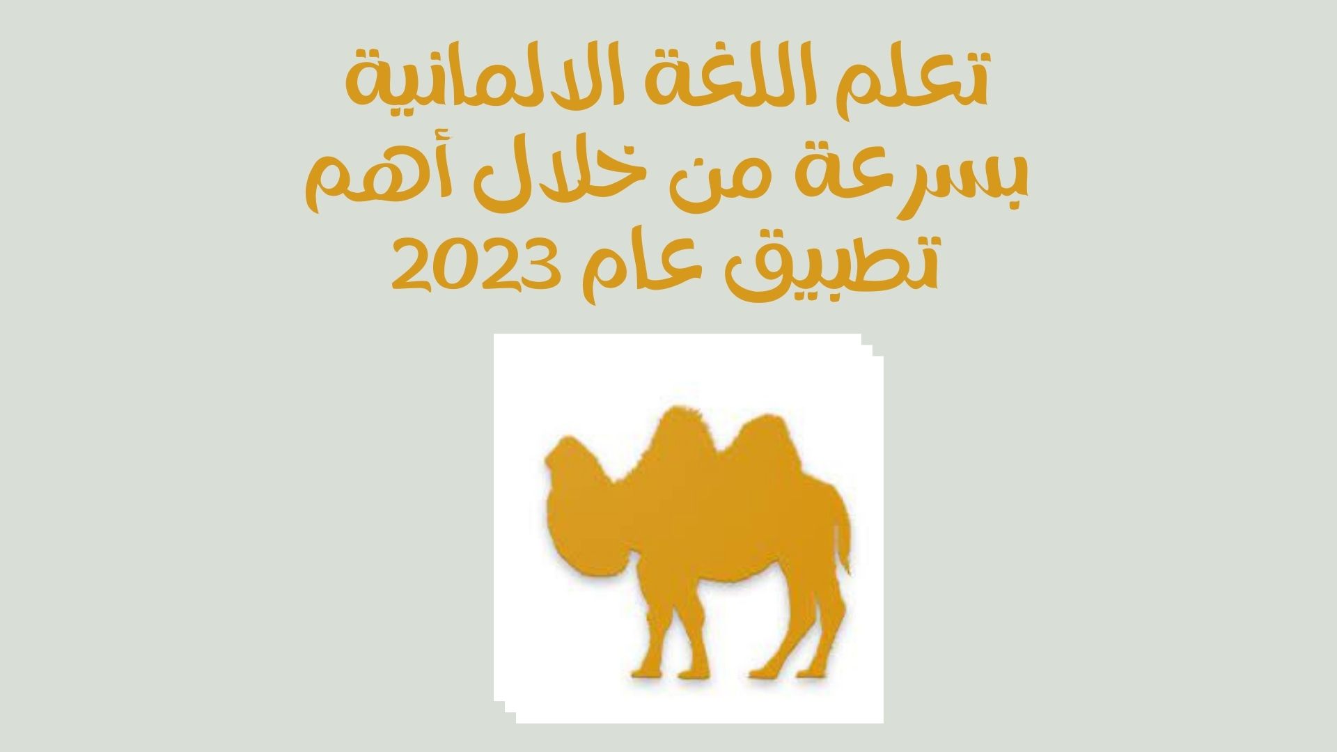 تعلم اللغة الالمانية بسرعة من خلال أهم تطبيق عام 2023