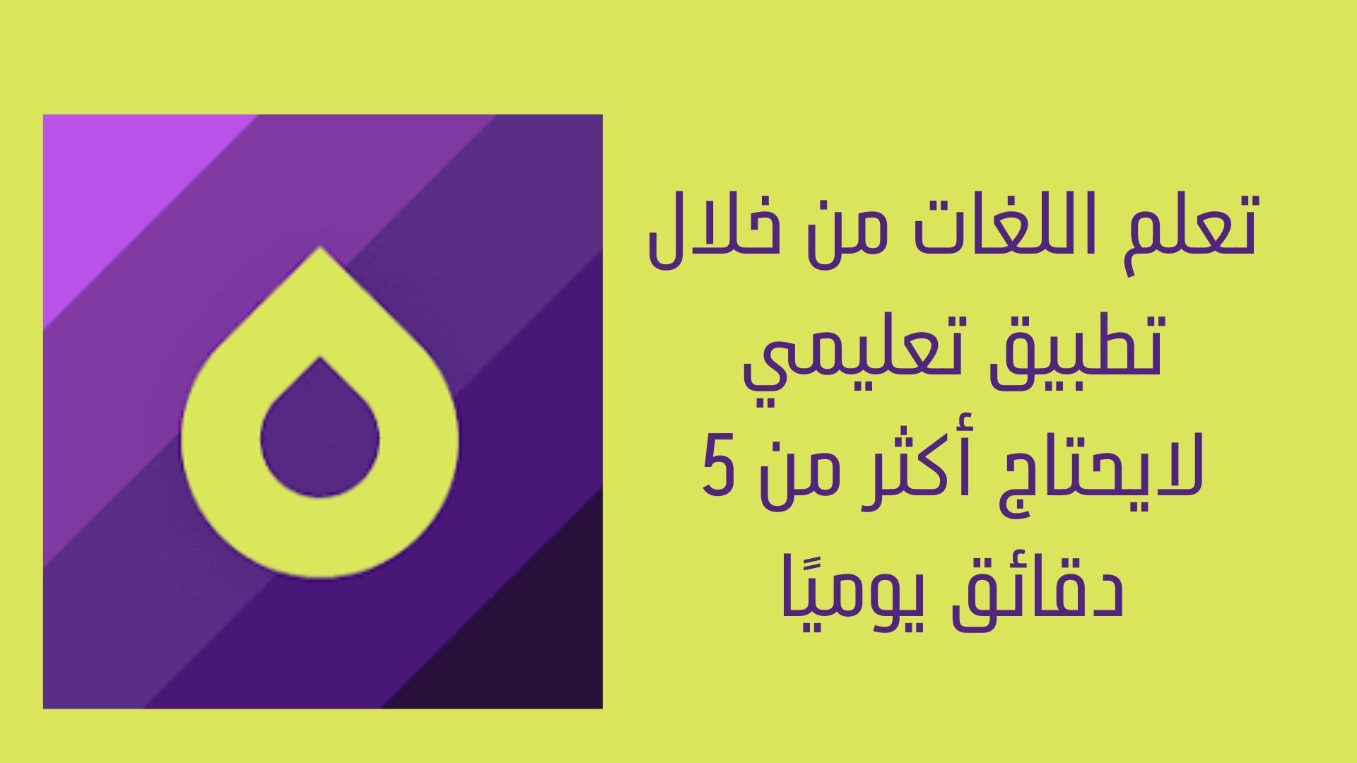 تعلم اللغات من خلال تطبيق تعليمي لايحتاج أكثر من 5 دقائق يوميًا